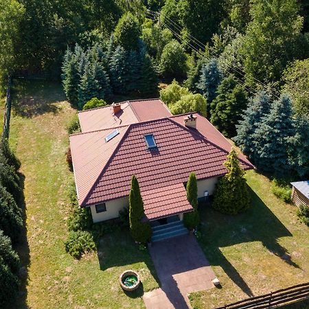 Forest Villa - Pokoje W Poblizu Suntago Krzyzowka  Esterno foto
